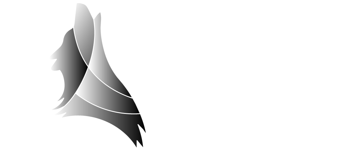 Black Wolf Motors